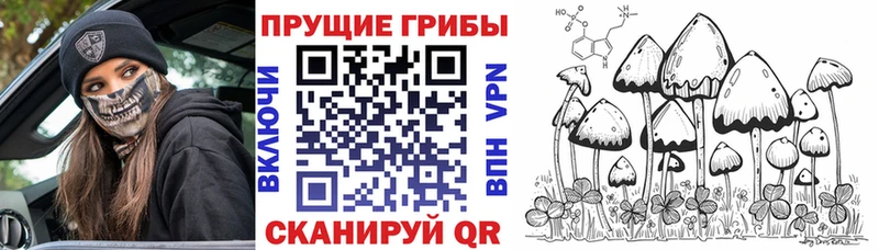 МЕГА ссылка  Макушино  Галлюциногенные грибы прущие грибы 