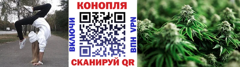 Канабис план  магазин    Макушино 